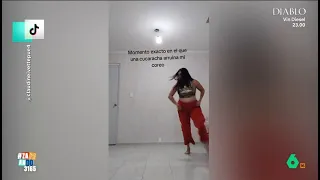 Una cucaracha destroza la coreografía de una joven al ritmo de Shakira - Zapeando
