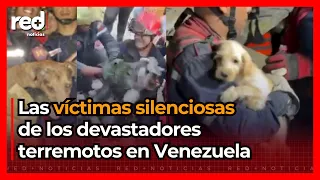 The victims that few are seeing after the devastating earthquakes in Venezuela