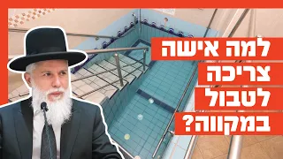 Rabbi Zamir Cohen - Why does a woman need to immerse in a mikvah?