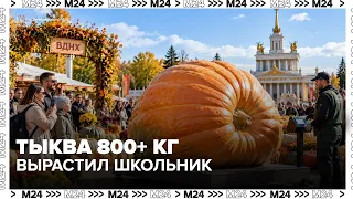 "Battle of the Giants" farmers' festival opens at VDNKh