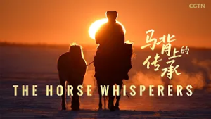 'The Horse Whisperers'