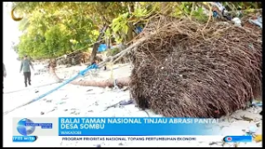 BALAI TAMAN NASIONAL TINJAU ABRASI PANTAI DESA  SOMBU