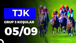 Uluslararası İstanbul Koşusu (Grup 3 /D/Uls) 05/09/2026