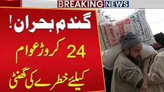 Pakistan Wheat Crisis | 240 Million People Face a Major Threat | Wheat Shortage Sparks Alarm