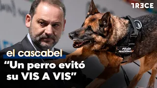 The dog gives an alert: "Ábalos complains to Marlaska after being denied a prison visit with his ...