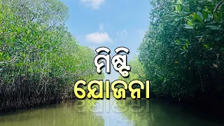 MISHTI Yojana | Mangrove Conservation & Coastal Protection | ମାଙ୍ଗ୍ରୋଭ୍ ସୁରକ୍ଷା | DD Odia