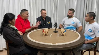 CAfE MARCIAL TV