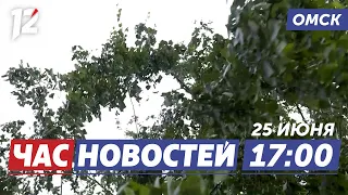 Hurricanes and downpours / 100 points on the Unified State Exam / Road repairs. Omsk news