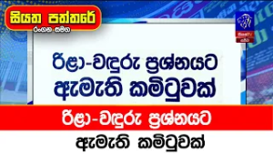 රිළා-වඳුරු ප්‍රශ්නයට ඇමැති කමිටුවක්
