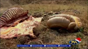 TV NOTICIAS EMISION ESTELAR 09-DICIEMBRE-2024