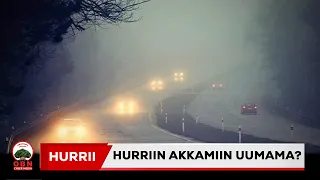 Hurriin akkamiin uumama?