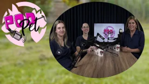 Podpet Podcast - 26/02/2026