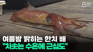 Squid fishing boats lighting up summer nights... "Worry grows with soaring water temperatures" / ...