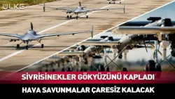 Mosquitoes Have Taken Over the Sky! Air Defenses Will Be Left Helpless