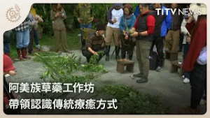 阿美族草藥工作坊 帶領認識傳統療癒方式｜每日熱點新聞｜原住民族電視台