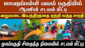 மாவடிப்பள்ளி வயல் பகுதியில் முகப்பகுதி சிதைந்த நிலையில் ஆணின் சடலம் மீட்பு