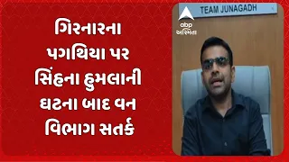 Junagadh News | Forest Department on alert following lion attack on Girnar steps