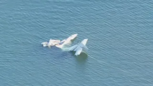 Latest News | One dead after Arkansas place crash