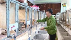 Outstanding Vietnamese Farmers of Hung Yen Province