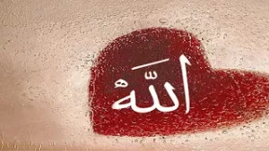 allah tala ki hoqooq