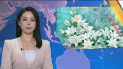 TVB News at 7:30｜28 OCT 2026｜HONG KONG English Latest NEWS｜