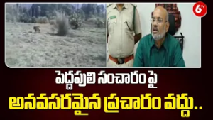 ?Chief Conservator Speaks! No Need for Unnecessary Tiger Hype in Peddapalli⚡ | Conservation Alert?