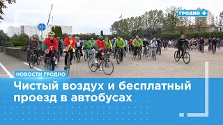 How did "Car-Free Day" go in Grodno?