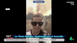 La 'Potra salvaje' se pierde la celebración de España por el incendio de Brieva - Más Vale Tarde