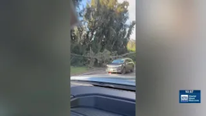 Power restored to hundreds in Haleiwa, West Oahu