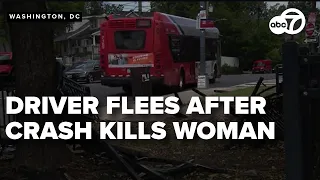 "I can't wrap my head around it;" Driver plows into park and runs off after killing woman