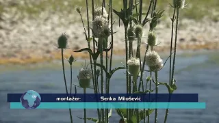 TV Informator  - VREME 31 07 2026