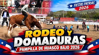 RODEO Y DOMADURAS EN LA PAMPILLA DE HUASCO BAJO AÑO 2026 🐎🎉