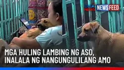 Mga huling lambing ng aso, inalala ng nangungulilang amo | GMA News Feed