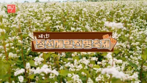 제1회 정선메밀전병축제 / 강원매거진7 / [강원도는 축제 중] / G1방송 / 260306