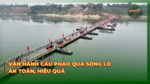 Vận Hành Cầu Phao Qua Sông Lô An Toàn, Hiệu Quả