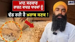 ਮਾਨ ਸਰਕਾਰ Ration Card ਧਾਰਕਾਂ ਨੂੰ ਵੰਡ ਰਹੀ ਹੈ ਖ਼ਰਾਬ ਕਣਕ ! Punjabi News | Sangrur News