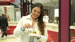 04 JM123 VTR ALCHEMIST CHEF FLASH