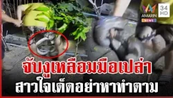 สาวใจเด็ด! จับงูเหลือมยักษ์มือเปล่า มากับน้ำลอบกินเป็ด | ทุบโต๊ะข่าว | 15/10/69