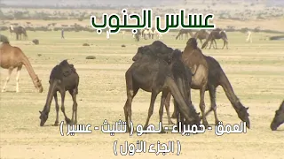 عساس الجنوب | العمق - حميراء - لـهـو (محافظة تثليث - عسير ) 13-8-1435هـ ( الجزء الأول )