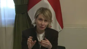 ე.წ. ფასების შემსწავლელი საგამოძიებო კომისიის სხდომა "ოცნების" პარლამენტში - ნაწილი3  5/03/2026