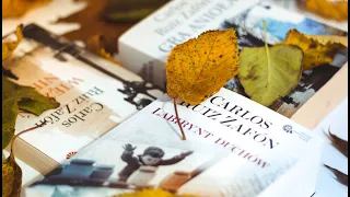 Larga vida al libro de bolsillo, mucho más que el hermano pequeño de la librería