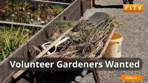 На Фолклендских островах запущена программа «Друзья садов Дома правительства».