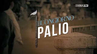 GOOD MORNING PALIO 08/16/2026