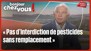 François Patriat: "No pesticide ban without a replacement"
