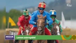 Lovon szárnyalni – Mozaik