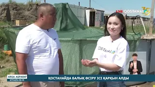 Fish farming is gaining momentum in Kostanay