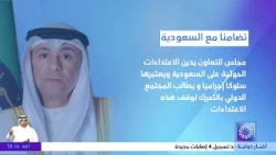 GCC Condemns Houthi Attacks on Saudi Arabia as Criminal Behavior
