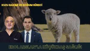 DOĞUM SÜRECİ VE KUZU BAKIMI I EROL ARSLAN'LA KÜÇÜKBAŞ SAĞLIĞI