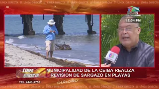 La Ceiba Municipality conducts sargassum inspection on beaches