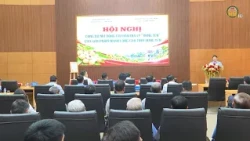 Expanding the Geographical Indication for Hung Yen Longan Products